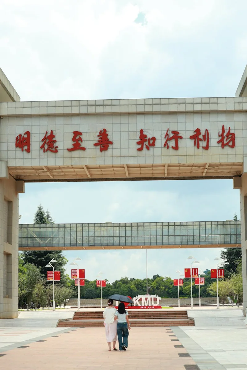 合作流程从需求沟通到报告交付的推进关系示意